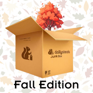 DailySteals Junk Box - September Edition!