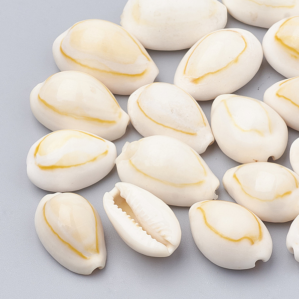 Natural Cowrie Shell Beads