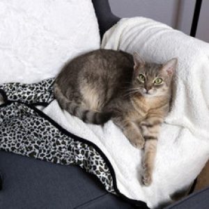 Premium Reversible Pet Blanket