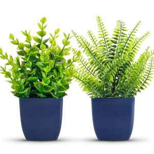 Der Rose 2 Pack Fake Plants Small Artificial Plants in Blue Pots Faux Plants Indoor for Home Room Bathroom Living Room Decor
