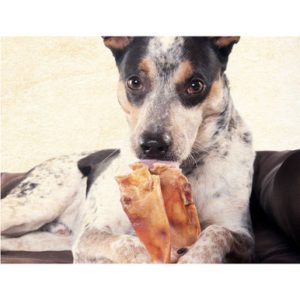 Jumbo Whole Natural Pig Ears Dog Treats - Whole Natural Pig Ears Dog Treats, 5Ct