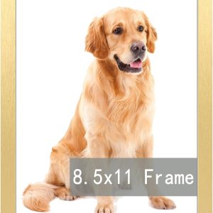 RUN HELIX 8.5x11 Gold Picture Frames, Photos Frame with Plexiglass, Wall Gallery Photo Frames, Horizontal and Vertical for Wall Mounting, Home Office