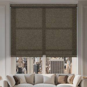 Light Filtering Roller Shades,Cordless window shades,Linen Window Blinds with Cassette Valance Thermal Insulated Roller Blinds for Home French Door.Br