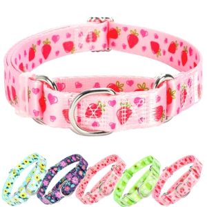 Martingale Collar for Dogs with Pink Strawberries，Cute Adjustable Martingale Collar for Small Medium Large Dogs Girl Dogs Boy Dogs(M)