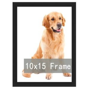RUN HELIX 10x15 Picture Frame, Wall Mounting Horizontally or Vertically, Decoration for Photos, Paintings, Posters, Artwork,Personal Portraits and Fam
