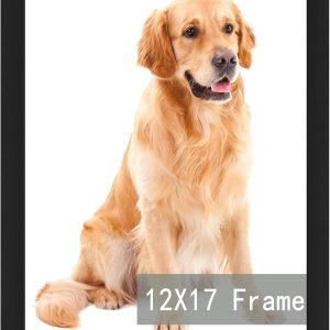 RUN HELIX 12x17 Black Picture Frames, Photos Frame with Plexiglass, Wall Gallery Photo Frames, Horizontal and Vertical for Wall Mounting, Home Office