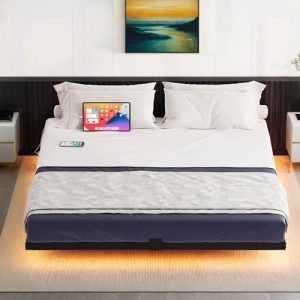 DWVO Queen Size Floating Bed Frame, LED Bed Frame with USB Port, Queen Metal Platform Bed with Heavy Duty Steel Slats, No Box Spring Needed, Easy Asse