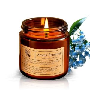 Scented Candles for Home | Bluebell Scented Candle, Birthday Gifts for Women - 3.5oz Jar Candle, Candle Gifts for Women/Men/Friends/Girls