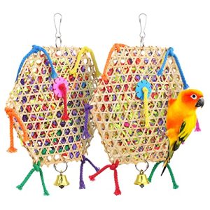 Bird Parrot Toys，2 Pack Bird Hanging Foraging Shredder Toys for Small Medium Small Bird Conure Cockatiel Parrotlet Lovebird Budgie A-2 pack