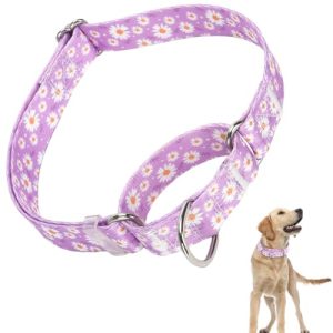 Martingale Collar for Dogs, Girl Dog Collar with Purple Floral Patterns, Heavy Duty Nylon Dog Collar Durable and Comfortable, Perfect for Training, Wa