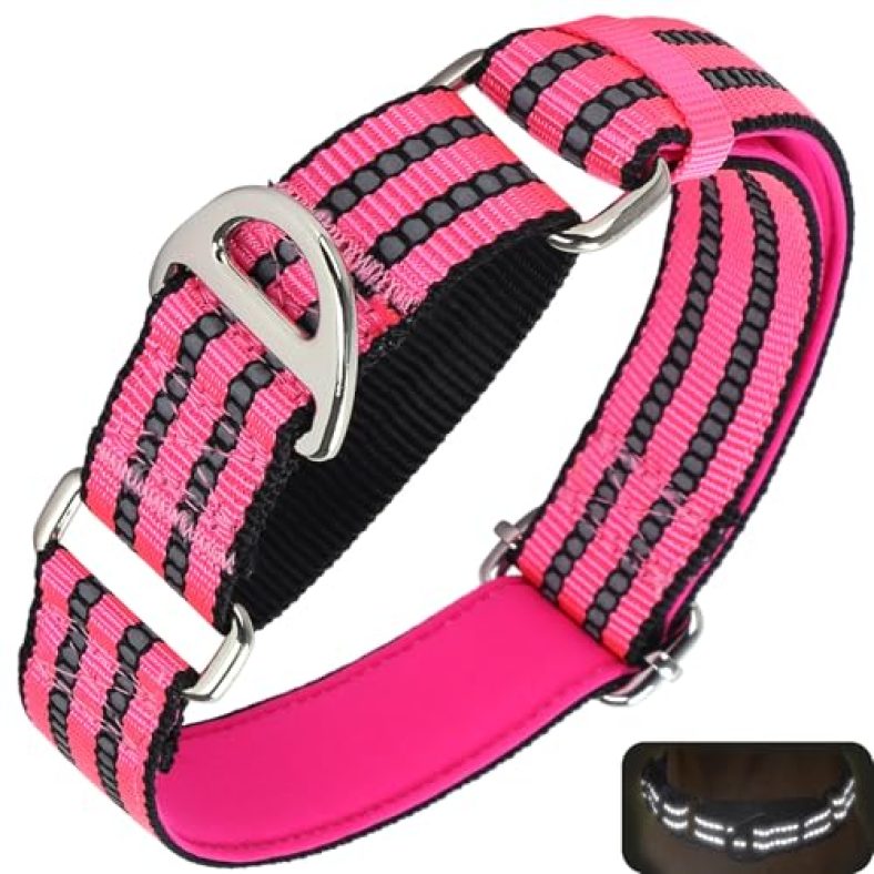 Martingale Dog Collars Reflective Nylon Dog Collar with No Buckle Adjustable Training No Slip Dog Collar (Large,Pink) P L