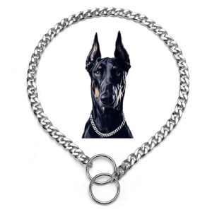 Silver Dog Chain Collar,Metal Slip Link Martingale Dog Collar Heavy Duty Training Dog Collars Boy Girl Puppy Collars for XS Small Medium Large Big Bre