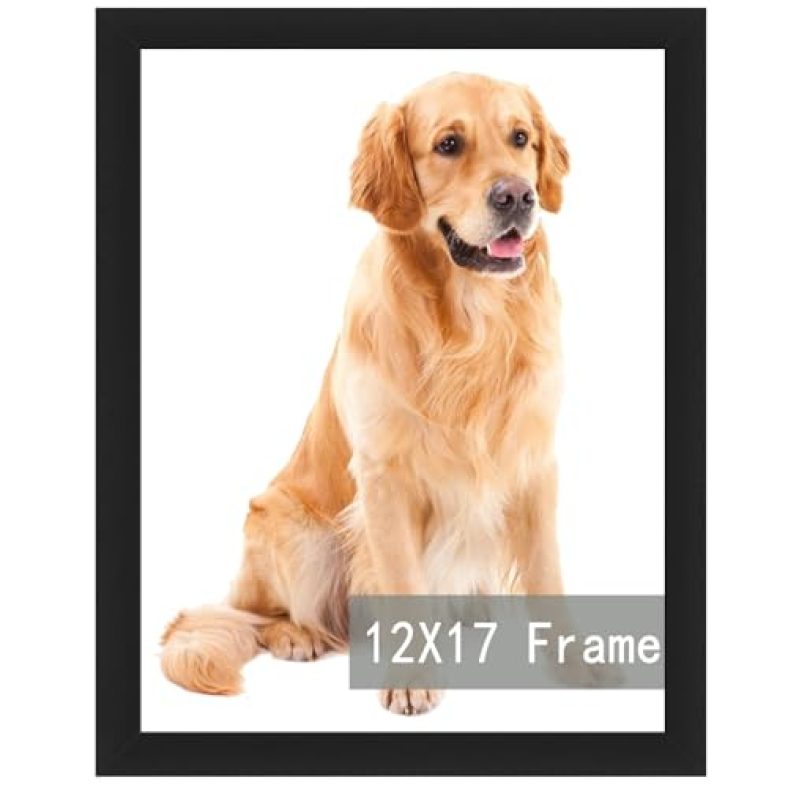 RUN HELIX 12×17 Black Picture Frames, Photos Frame with Plexiglass, Wall Gallery Photo Frames, Horizontal and Vertical for Wall Mounting, Home Office