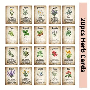 TEMU 20pcs Retro Cards With Botanical Art & Herbal - Lavender, , Thyme, Rosemary | Apothecary Journal, Natural Guide, Supplies, Mystical Halloween