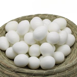 TEMU Plastic Solid Fake Eggs, Fake Eggs, Lead Eggs, Supplies, Tools