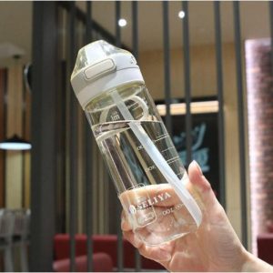 TEMU Vacuum Cup Vacuum Tumbler Water Bottle With Straw 650ml Drinkware Bottled Mug Portable