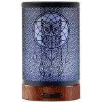 EQUSUPRO Essential Oil Diffuser 150ml Metal Aromatherapy Oil Diffuser Ultrasonic Cool Mist Diffuser with Auto Shut-Off Protection,7 Colors Changed LED