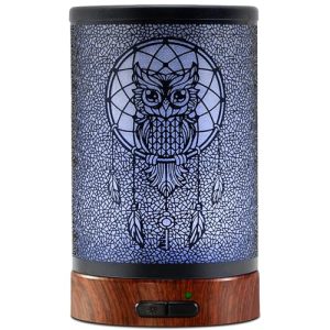 EQUSUPRO Essential Oil Diffuser 150ml Metal Aromatherapy Oil Diffuser Ultrasonic Cool Mist Diffuser with Auto Shut-Off Protection,7 Colors Changed LED