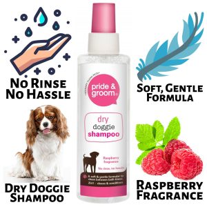 TEMU 1x Pride & Groom Raspberry Scented Dry Dog Shampoo 200ml