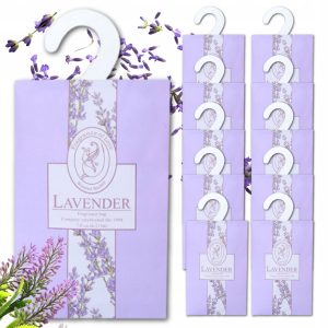 TEMU Hanger For Wardrobe Mole Freshener Car Air Freshener Home 10pcs