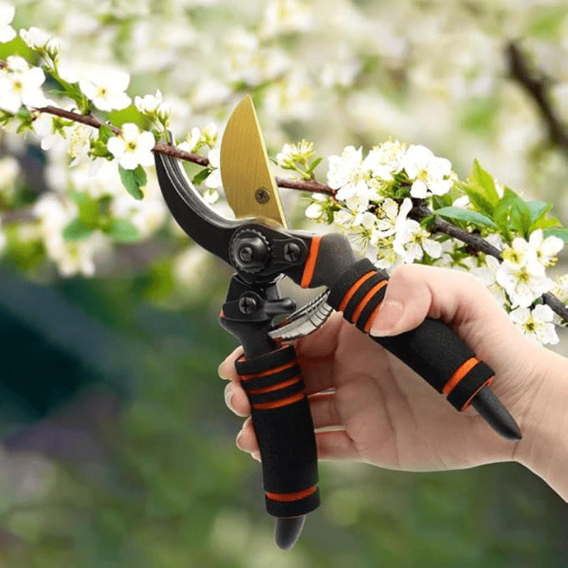 TEMU 8 Inch Professional Quality Carbon Steel Pruning Shears, Manual Pruning Shears, Garden Shears