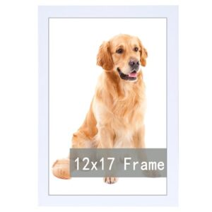RUN HELIX White 12x17 Picture Frame 12 by 17 Picture Frame Display picture 12x17 Wall Mounting Document Certificate Frames 12x17 Picture Frame white 1