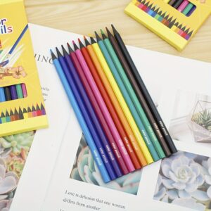 TEMU 12 Log Pencils Combo Set Wooden Drawing Pencils For Adult Drawing And Coloring Books