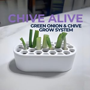 TEMU 1pc Scallion Kit - Green Onions Indoors With Setup, No Skills Needed | For Balcony, Windowsill & Small Spaces | Regenerate Green Onions Quickly