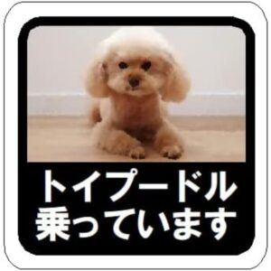 TEMU Watercolor Style, Ride Toy Poodle A Car Sticker