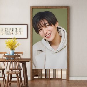 TEMU Noren Curtains Blackout Fn Popular Privacy Curtains Room Divider Curtains Entrance Curtains Long Curtains Noren Curtains Room Dining Room