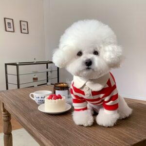 TEMU Pet Dog Clothing, Clothing, Cat Clothing, Dog Striped Navy Clothing