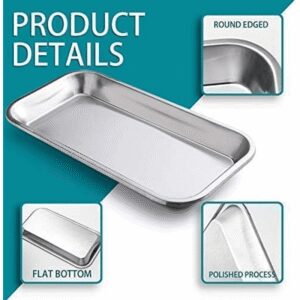 TEMU 's Tray, Stainless Steel Tray Instrument Supplies, Tattoo Tool (silvery) - & Rust-resistant - For Medical Professionals, & - Ideal Gift For