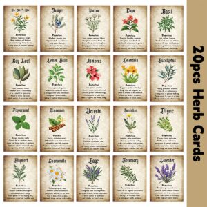 TEMU 20pcs Retro Cards With Botanical Art & Herbal - Lavender, , Thyme, Rosemary | Apothecary Journal, Natural Guide, Supplies, Mystical Halloween