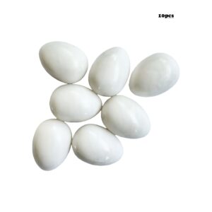 TEMU Plastic Solid Fake Pigeon Eggs, Pigeon Fake Eggs, Lead Eggs, Pigeon Supplies, Pigeon Tools