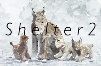 Shelter 2