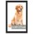 5.5×8.5 Picture Frame,Document Frame Certificate Frames Display Diplomas 5.5×8.5 Inch Frame with Stand Frame Wall and Tabletop Document and Tax Certif