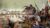 Cossacks: Back to War