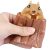 decompression toy squeezing squirrel cup corn dog toy stress relieving toy fidget anti pressure sensor toy stress relieving toy toy gift h24