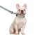 Dog Harness Collar 5ft Leash Poop Bag Holder Set, Reflective Adjustable No-Pull Dog Vest Harness with Safety Lock Easy Control Handle, for Small Mediu