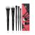 EIGSHOW 5 Pcs Makeup Brush Set, Essential Basic Makeup Brushes, Powder, Foundation, Shadow, Eyeliner Brush For Daily Makeup Look(Black) Jade Black