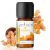 Frankincense Essential Oils for Diffusers for Home – No Chemical Additives Safe for Kids and Pets – Frankincense Aromatherapy Oils – Diffuser Oil Scen