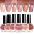 Jelly Nail Polish Set 6 Colors Nude Pink Pale Purple Jelly Quick Dry Nail Polish Set for Nail Art Manicure DIY Salon OPE-6NP-KIT-11