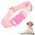 Pink Dog Collars for Small Dogs, Girl Dog Collars with Hot Daisy Flowers, Adjustable Comfy Soft Pet Collar with Safety Buckle for XS Small Medium Larg