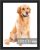 RUN HELIX 12×17 Black Picture Frames, Photos Frame with Plexiglass, Wall Gallery Photo Frames, Horizontal and Vertical for Wall Mounting, Home Office