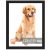 RUN HELIX 12×17 Black Picture Frames, Photos Frame with Plexiglass, Wall Gallery Photo Frames, Horizontal and Vertical for Wall Mounting, Home Office