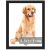 RUN HELIX 8.5×11 Picture Frame,Document Frame Certificate Frames Display Diplomas 8.5×11 Inch Standard Paper Frame with Stand Black Frame Wall and Tab