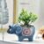 TEMU 1pc, Succulent Container, Ceramic Plant Pot, Creative Animal Flower Pot, Home Gardening Container, Gardening Tools (plants ) Gardening Gift Home