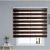 TEMU Blinds Roll Curtain Blinds Blackout Double-layer Roller Shutter Windows Home Office Blinds