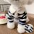 TEMU Pet Dog Clothing, Clothing, Cat Clothing, Dog Striped Navy Clothing
